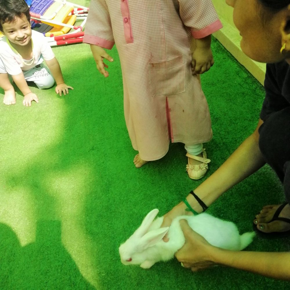 smartcapture smartcapture