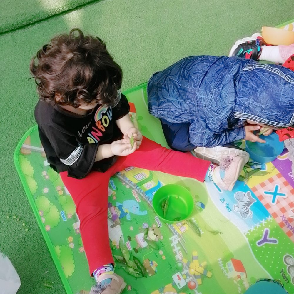 B612_20191216_105808_217 - Copy